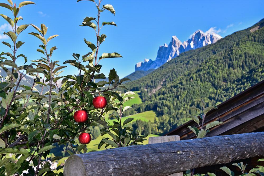 Jaiterhof Funes (Bolzano) Exterior foto